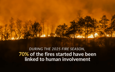 Your Legislature at Work